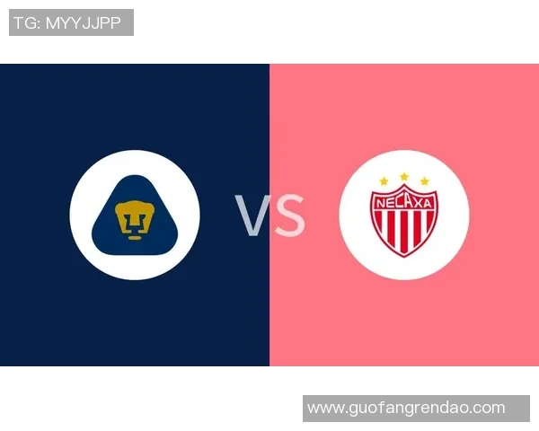 内卡萨与美洲狮最新动态分析及比赛前瞻详解 内卡萨与美洲狮最新动态分析及比赛前瞻详解